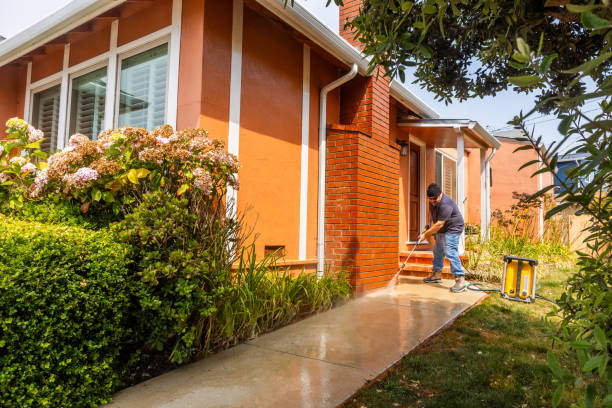 Best Local Pressure Washing Services  in Gold Hill, OR
